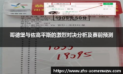 王中王资料大全